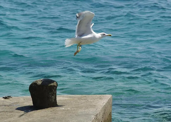 Nova By Interhome Blato (Korcula)